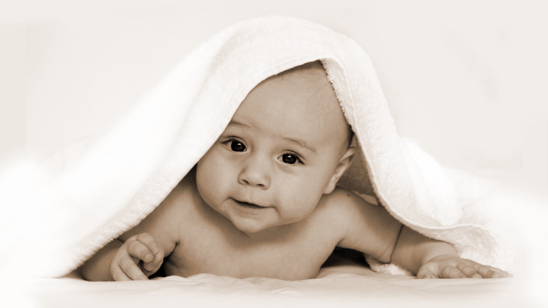 廊坊供卵代怀试管婴儿减胎的成功率